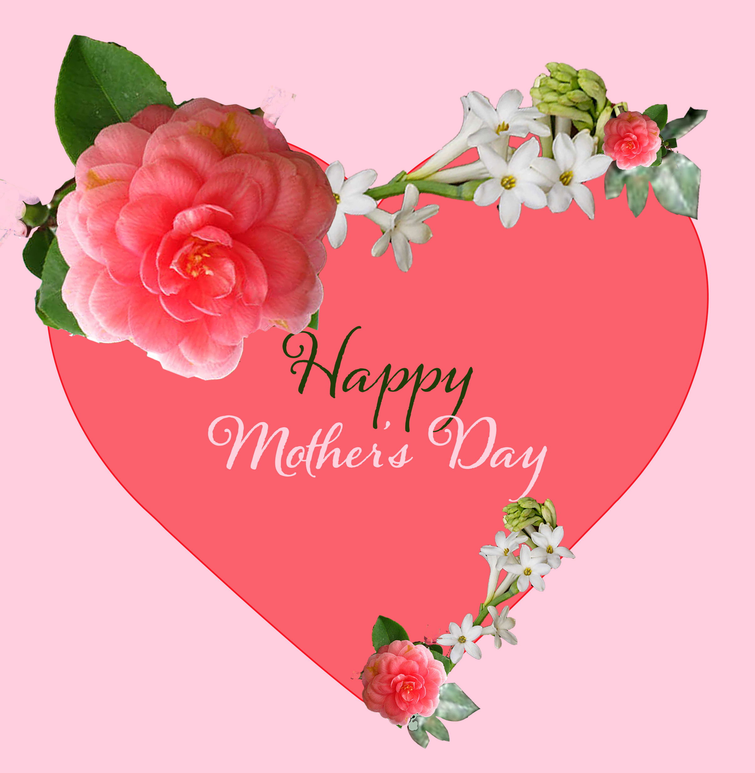 Mother's Day Card