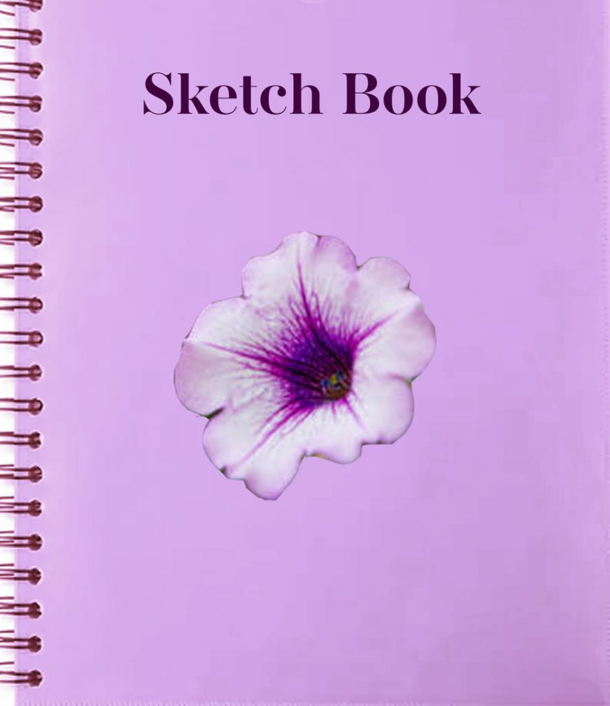 Sketch book